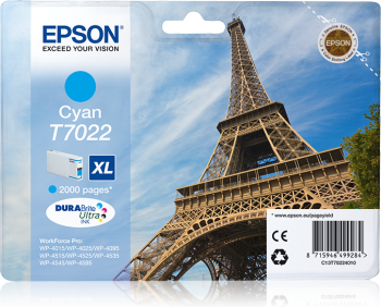 Epson T7022 Mavi Orjinal Kartuş