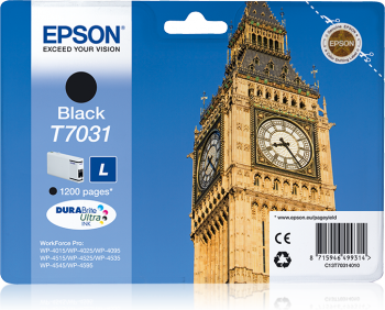 Epson T7031 Siyah Orjinal Kartuş